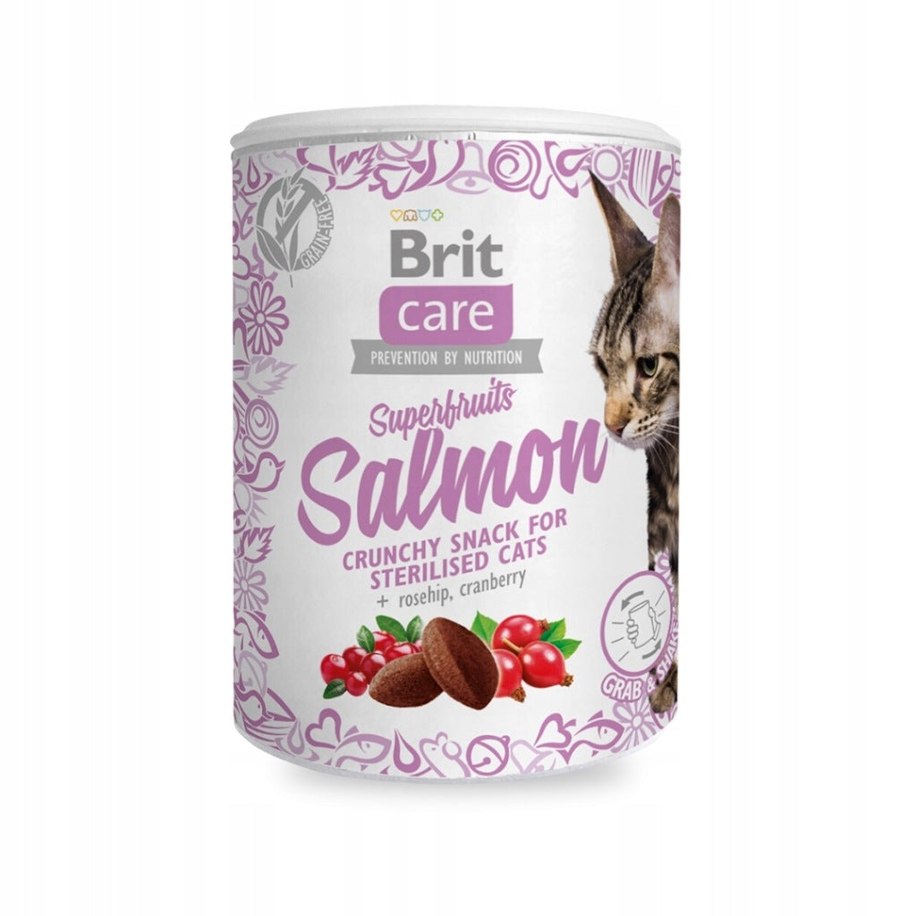 Przysmaki Brit Superfruits Salmon 100g