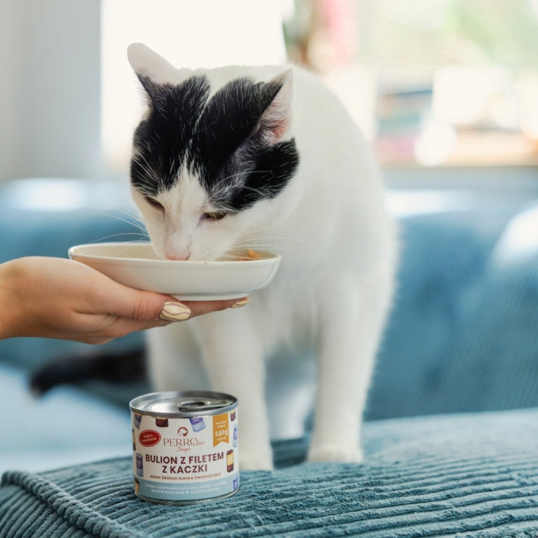PERROland Soups - bulion nawadniający dla Psa i Kota Kaczka 140g