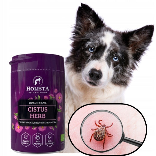 Holista CISTUS HERB Czystek dla psa i kota Pasożyty Odporność Sierść 100 g